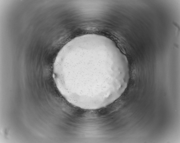 X0000102290369200808151959