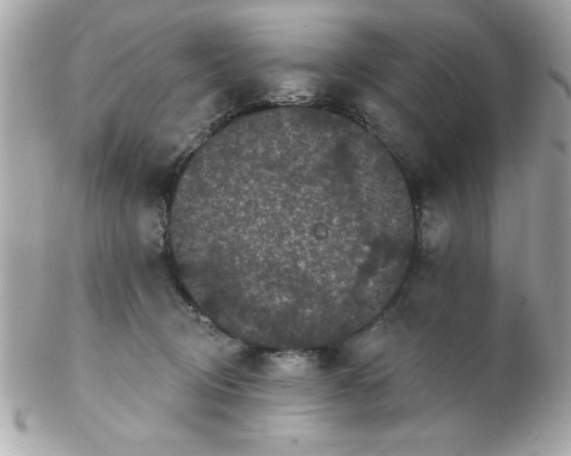 X0000102290370200808151959