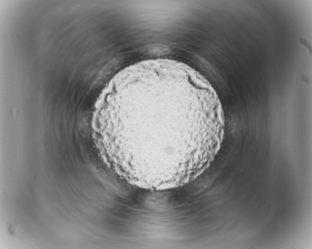 X0000102290373200808151959