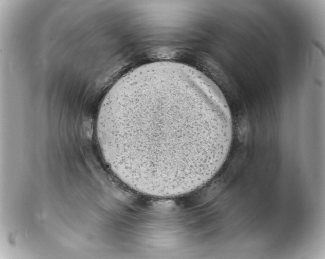 X0000102290374200808151959