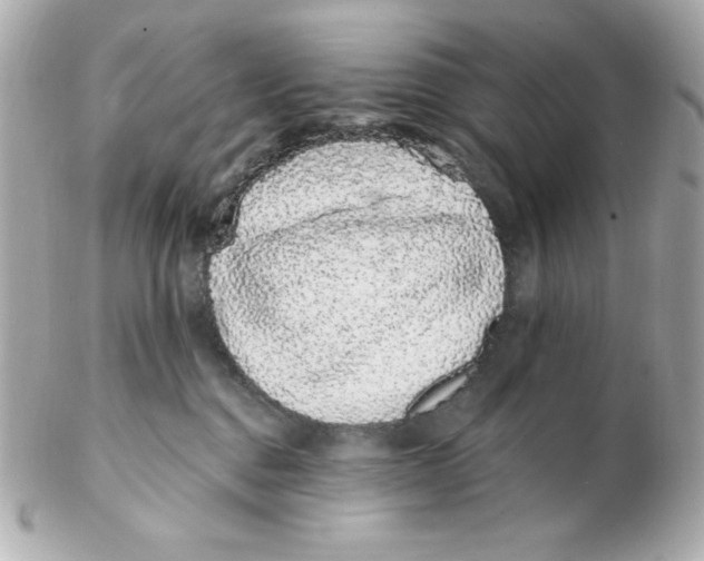 X0000102290376200808151959