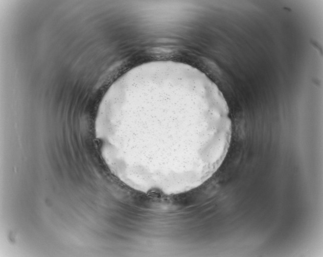 X0000102290377200808151959