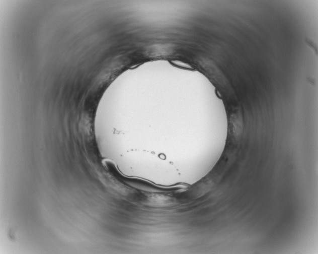 X0000102290380200808151959