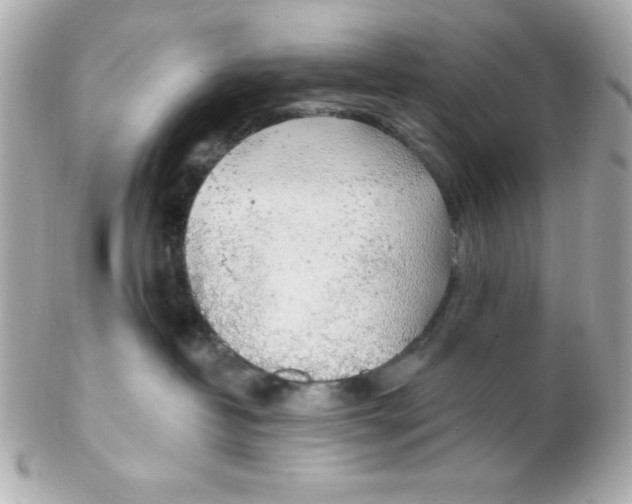 X0000102290382200808151959