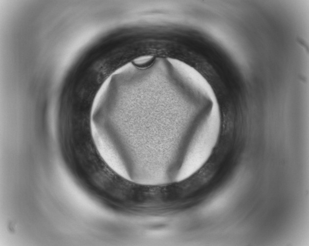 X0000102290383200808151959