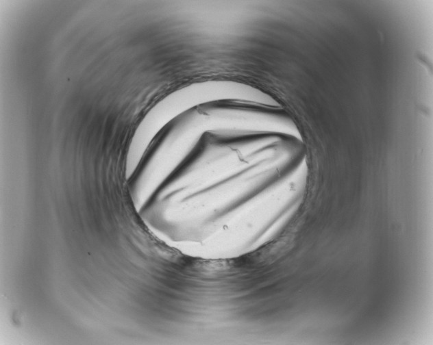 X0000102290384200808151959