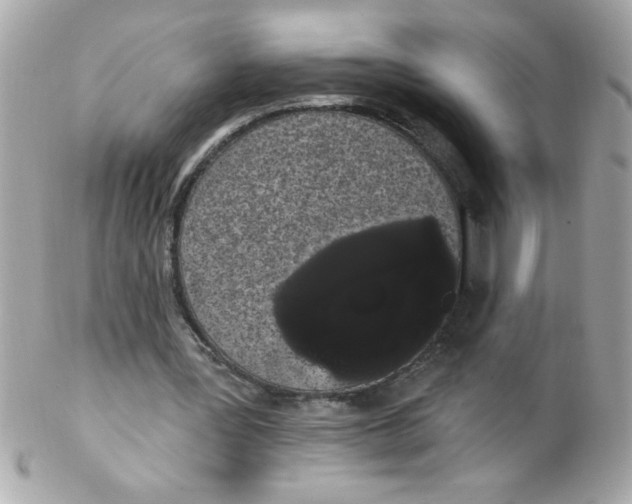 X0000102290387200808151959