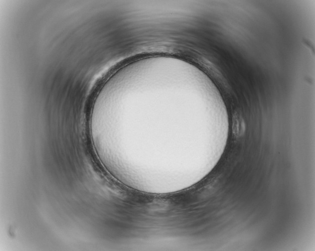 X0000102290388200808151959