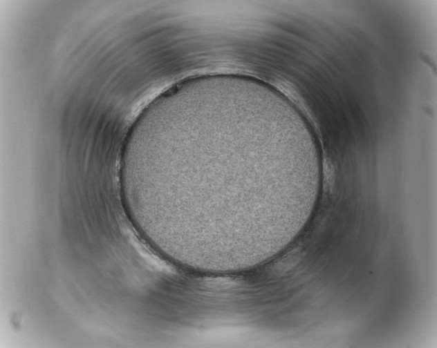 X0000102290389200808151959