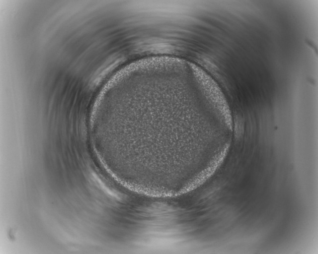 X0000102290390200808151959