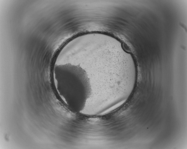 X0000102290391200808151958