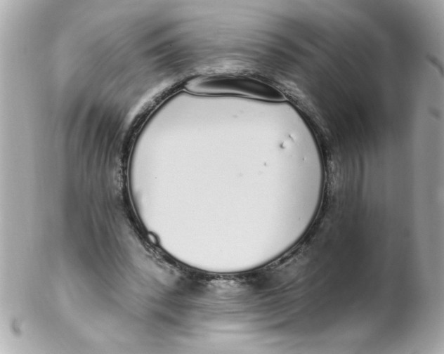 X0000102290392200808151958