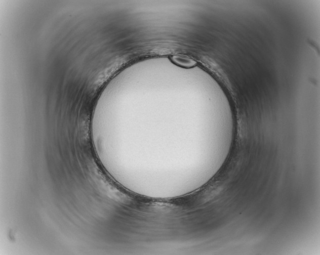 X0000102290393200808151958