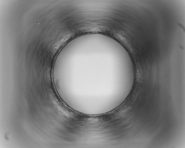 X0000102290394200808151958