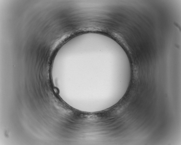 X0000102290395200808151958