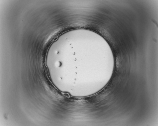 X0000102290396200808151958