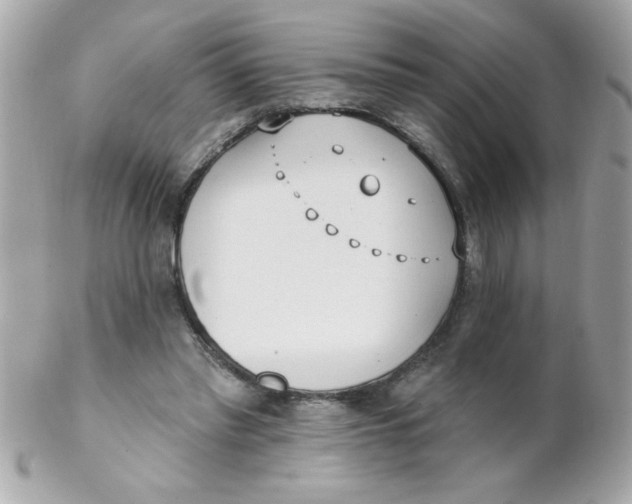 X0000102290397200808151958