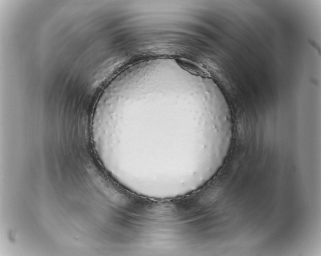 X0000102290398200808151958