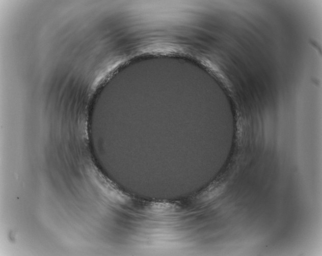 X0000102290399200808151958