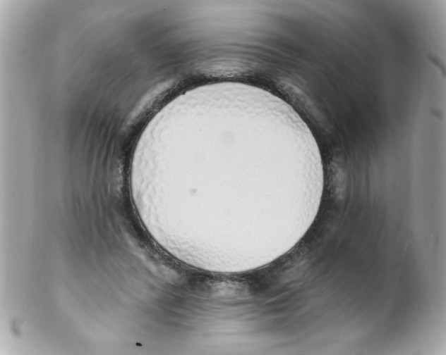 X0000102290400200808151958