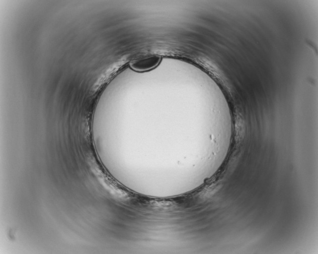 X0000102290401200808151958