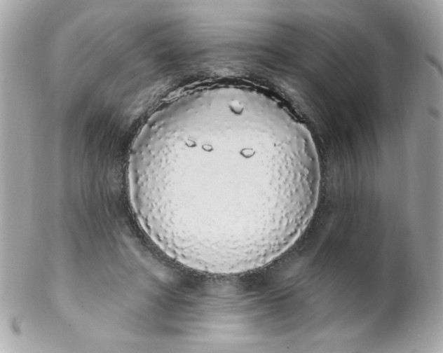 X0000102290402200808151958