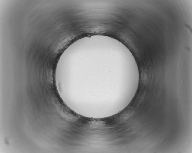 X0000102290403200808151958