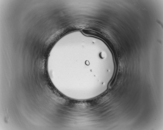 X0000102290404200808151958