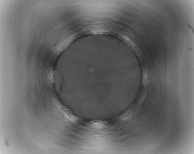 X0000102290405200808151958