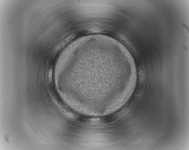 X0000102290406200808151958