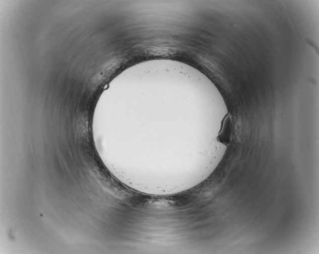 X0000102290407200808151958