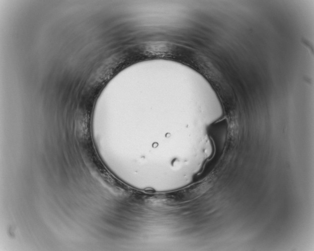 X0000102290408200808151958