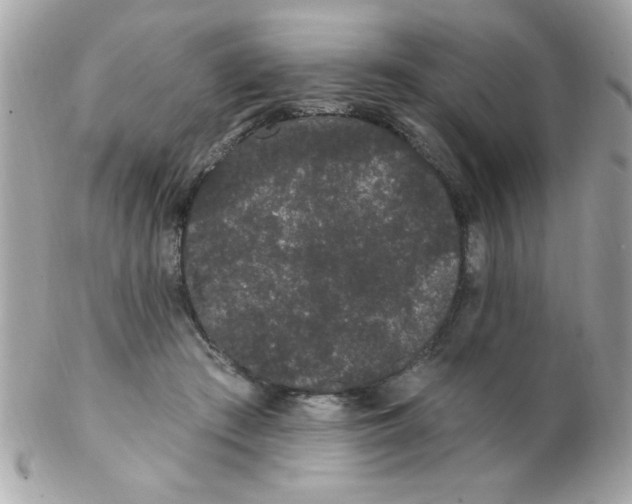 X0000102290409200808151958