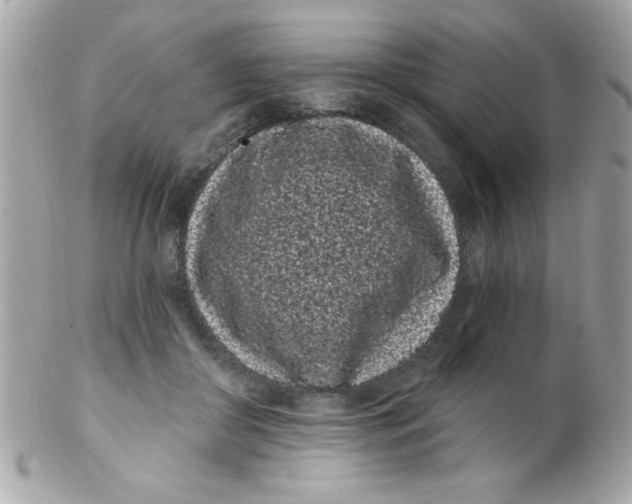 X0000102290410200808151958