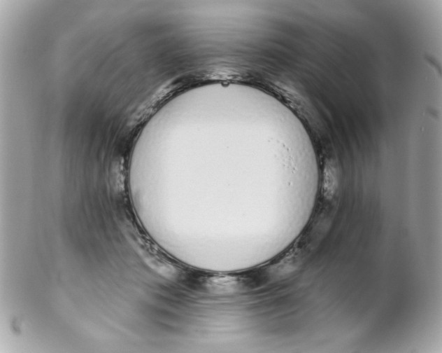 X0000102290413200808151958