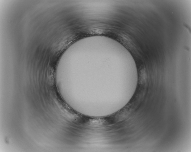 X0000102290414200808151958