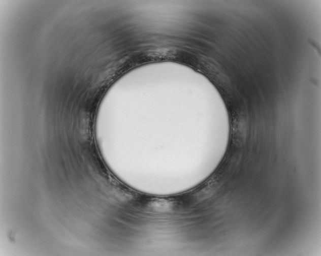 X0000102290416200808151958