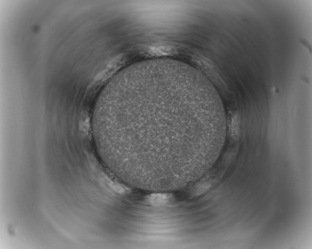 X0000102290418200808151958