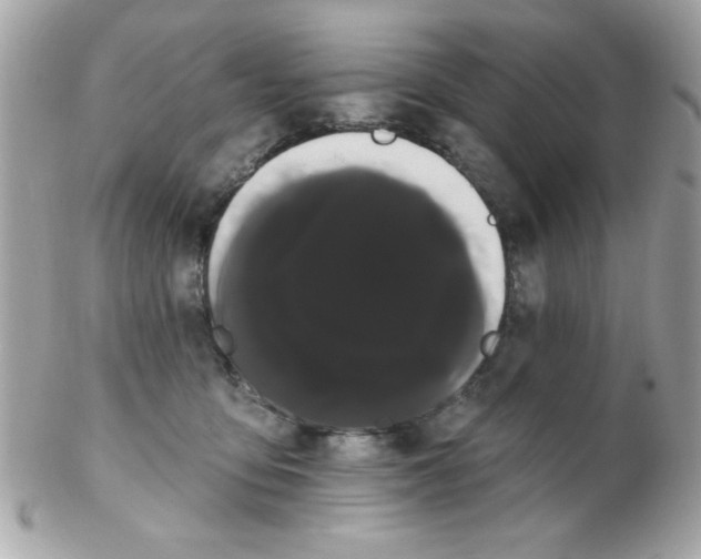 X0000102290419200808151958