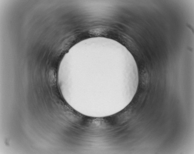 X0000102290420200808151958