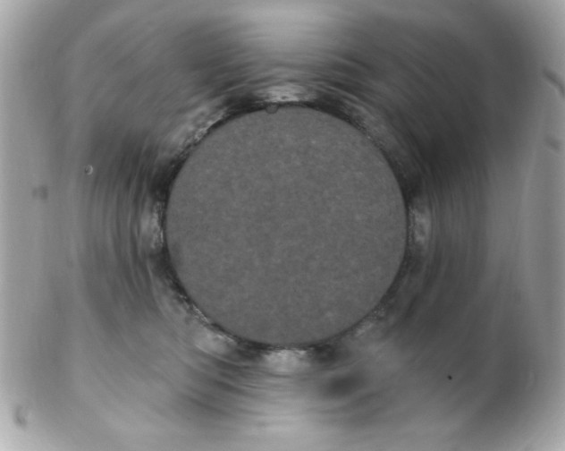 X0000102290422200808151958