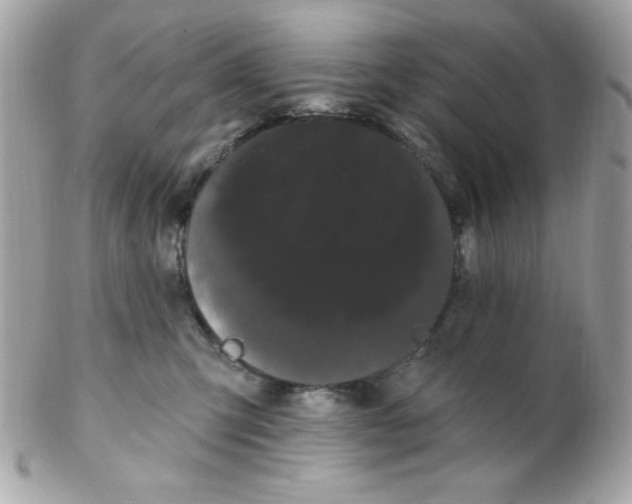 X0000102290423200808151958