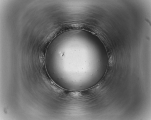 X0000102290424200808151958