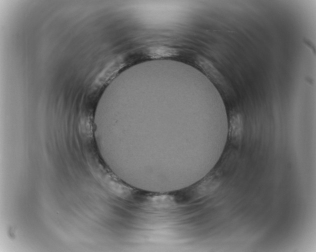 X0000102290426200808151958