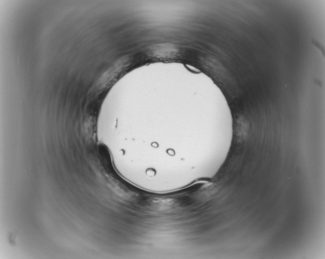 X0000102290428200808151958