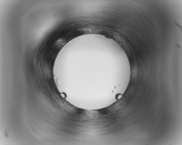 X0000102290429200808151958