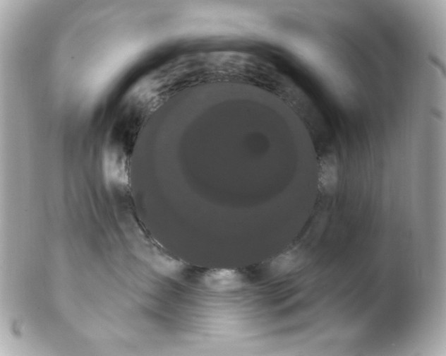 X0000102290431200808151958