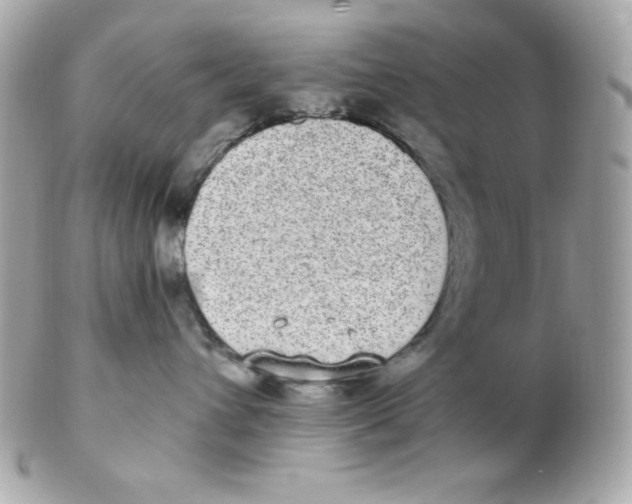 X0000102290432200808151958