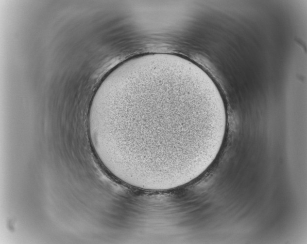 X0000102290433200808151957