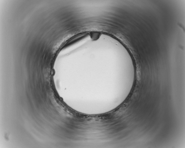 X0000102290434200808151957